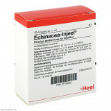 Echinacea Injeel,10 Stk. Эхинацея Инджил,10 шт. Echinacea Injeel,10 Stk. Эхинацея Инджил,10 шт.