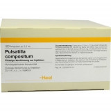 PULSATILLA COMP,100 Stk. ПУЛЬСАТИЛЛА КОМП,100 шт. PULSATILLA COMP,100 Stk. ПУЛЬСАТИЛЛА КОМП,100 шт.