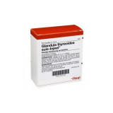 Guna - Glandula Thyreoidea Suis-Injeel 10 vials - Homeopathic Remedy, Guna - Швейцарская щитовидная железа для инъекций 10 флаконов - Гомеопатическое средство, Guna - Glandula Thyreoidea Suis-Injeel 10 vials - Homeopathic Remedy, Guna - Швейцарская щитовидная железа для инъекций 10 флаконов - Гомеопатическое средство,