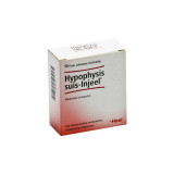 Guna - hypophysis suis injeel heel - solution for injection 10 vials, Гуна - гипофиз suis injeel heel - раствор для инъекций 10 флаконов, Guna - hypophysis suis injeel heel - solution for injection 10 vials, Гуна - гипофиз suis injeel heel - раствор для инъекций 10 флаконов,
