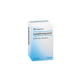 Guna - Lymphomyosot 50 tablets - homeopathic drug, Гуна - Лимфомиозот 50 таблеток - гомеопатический препарат,
