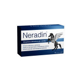PHARMASGP - Neradin Нерадин - Добавка для повышения фертильности 56 капсул PHARMASGP - Neradin Нерадин - Добавка для повышения фертильности 56 капсул